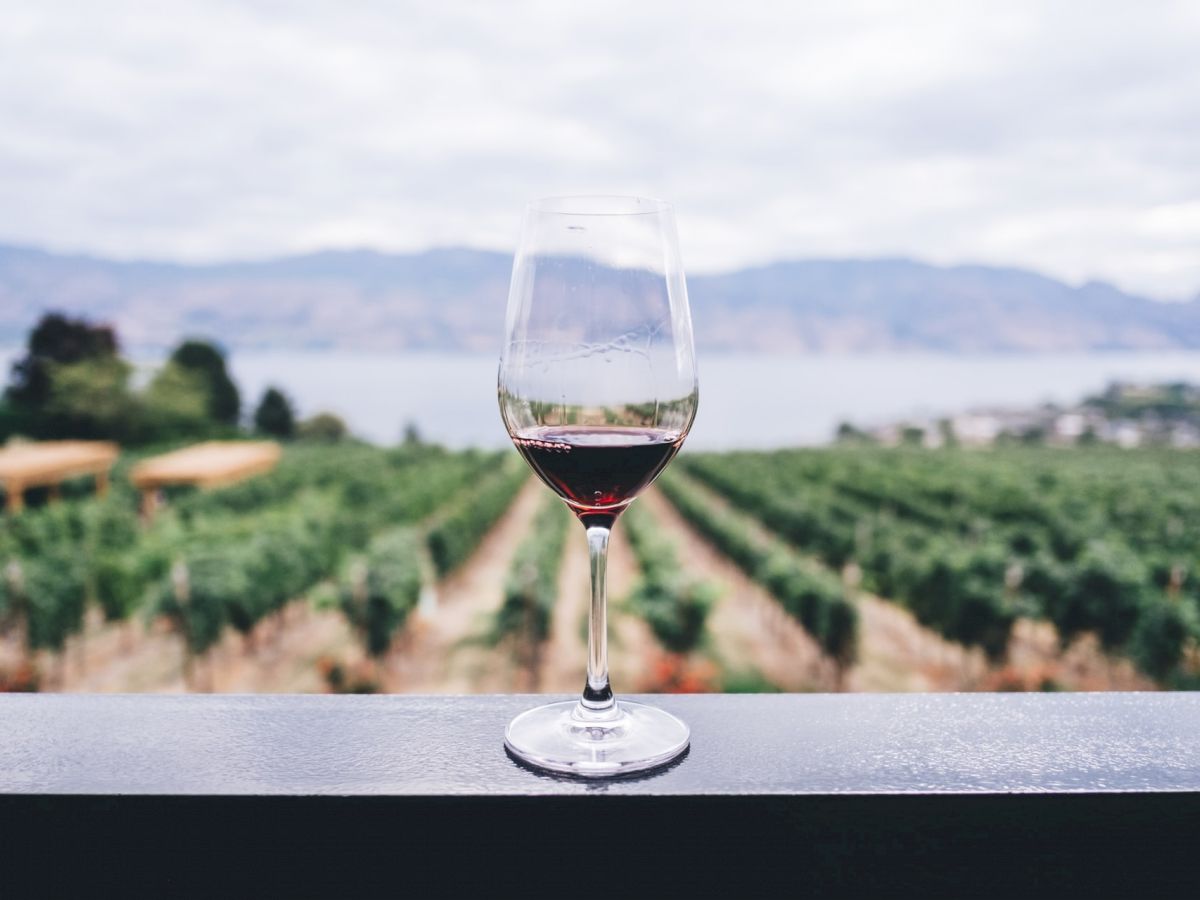 A glass of red wine is placed on a railing with a scenic vineyard and a distant body of water visible in the background.