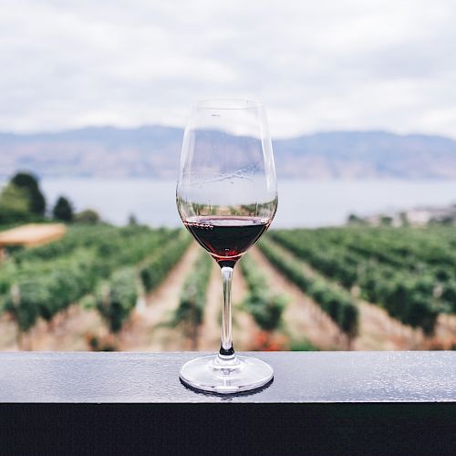 A wine glass with red wine is placed on a ledge, overlooking a vineyard with mountains and a body of water in the background.