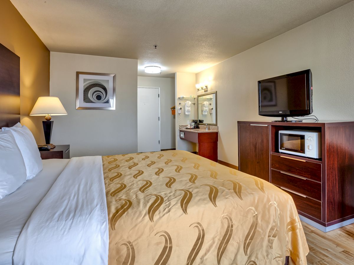 A hotel room features a bed with a patterned duvet, a flat-screen TV on a dresser, a microwave, and a vanity area with a sink and mirror.